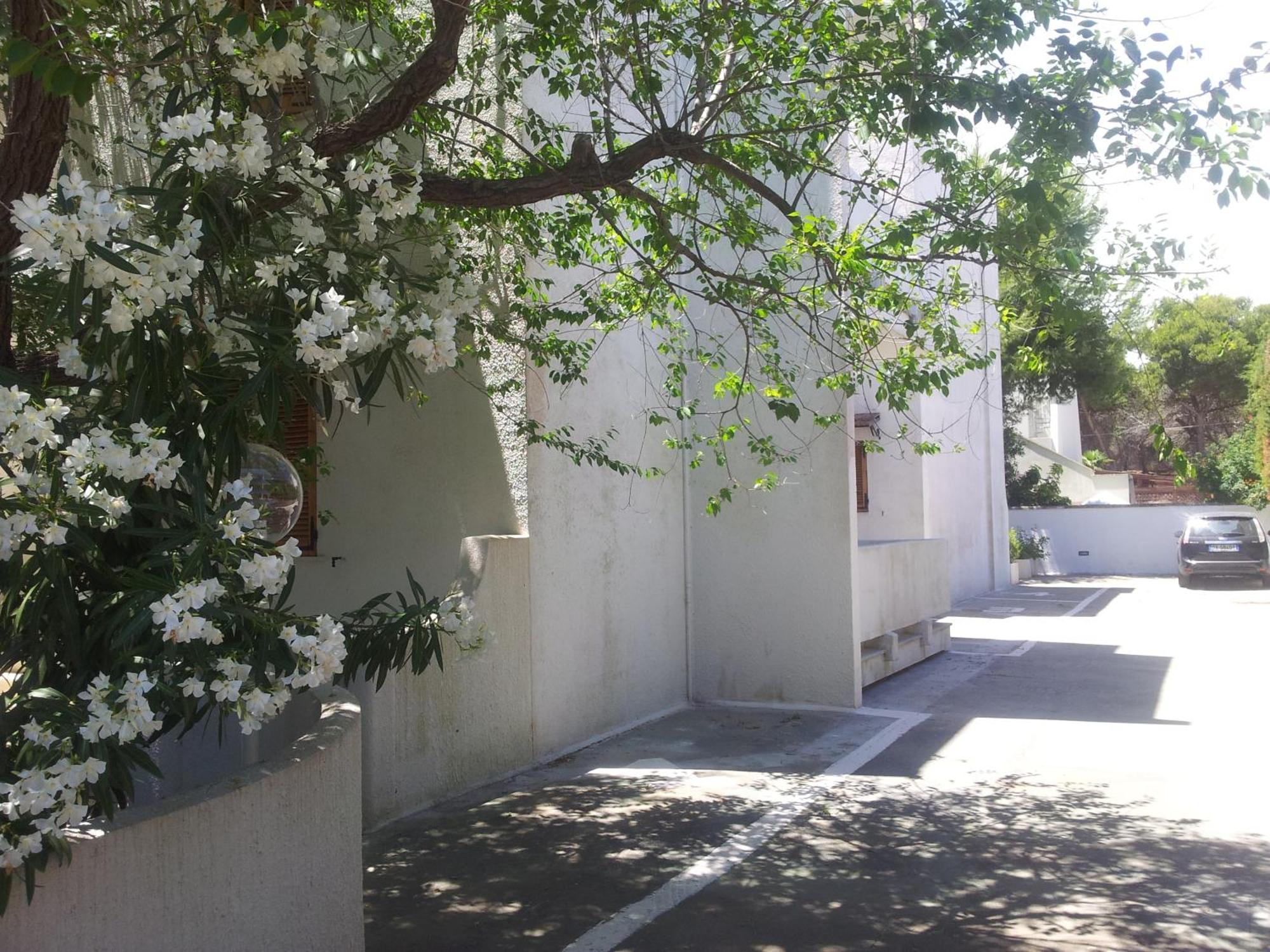 Residence Orsa Minore Gallipoli Exterior photo